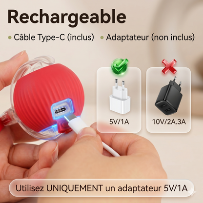 La TivoraBall™ - Balle Interactive Intelligente