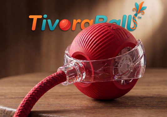 La TivoraBall™ - Balle Interactive Intelligente