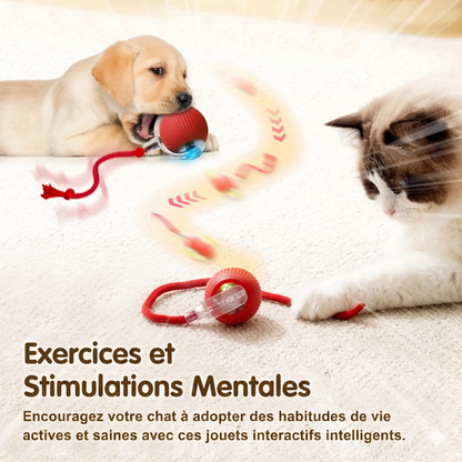 La TivoraBall™ - Balle Interactive Intelligente